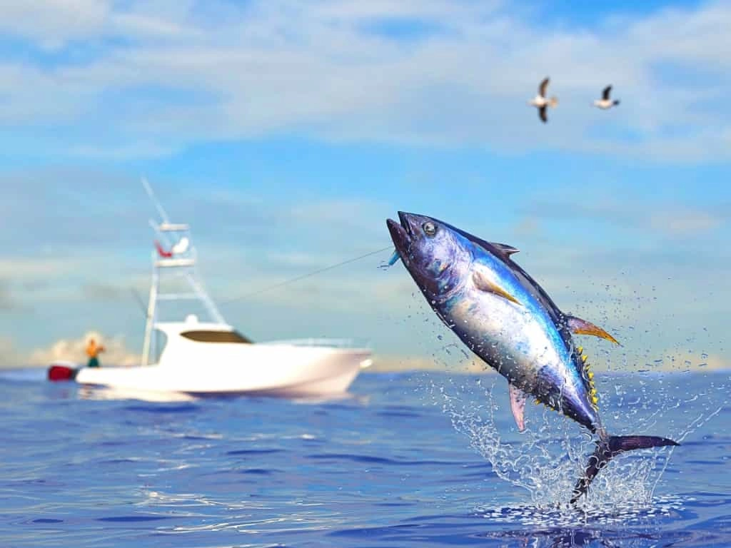 prix peche au gros maurice